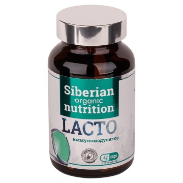 

Siberian organic nutrition, Lacto (иммуномодулятор), капсулы, 42 шт., капсулы, 42 шт.