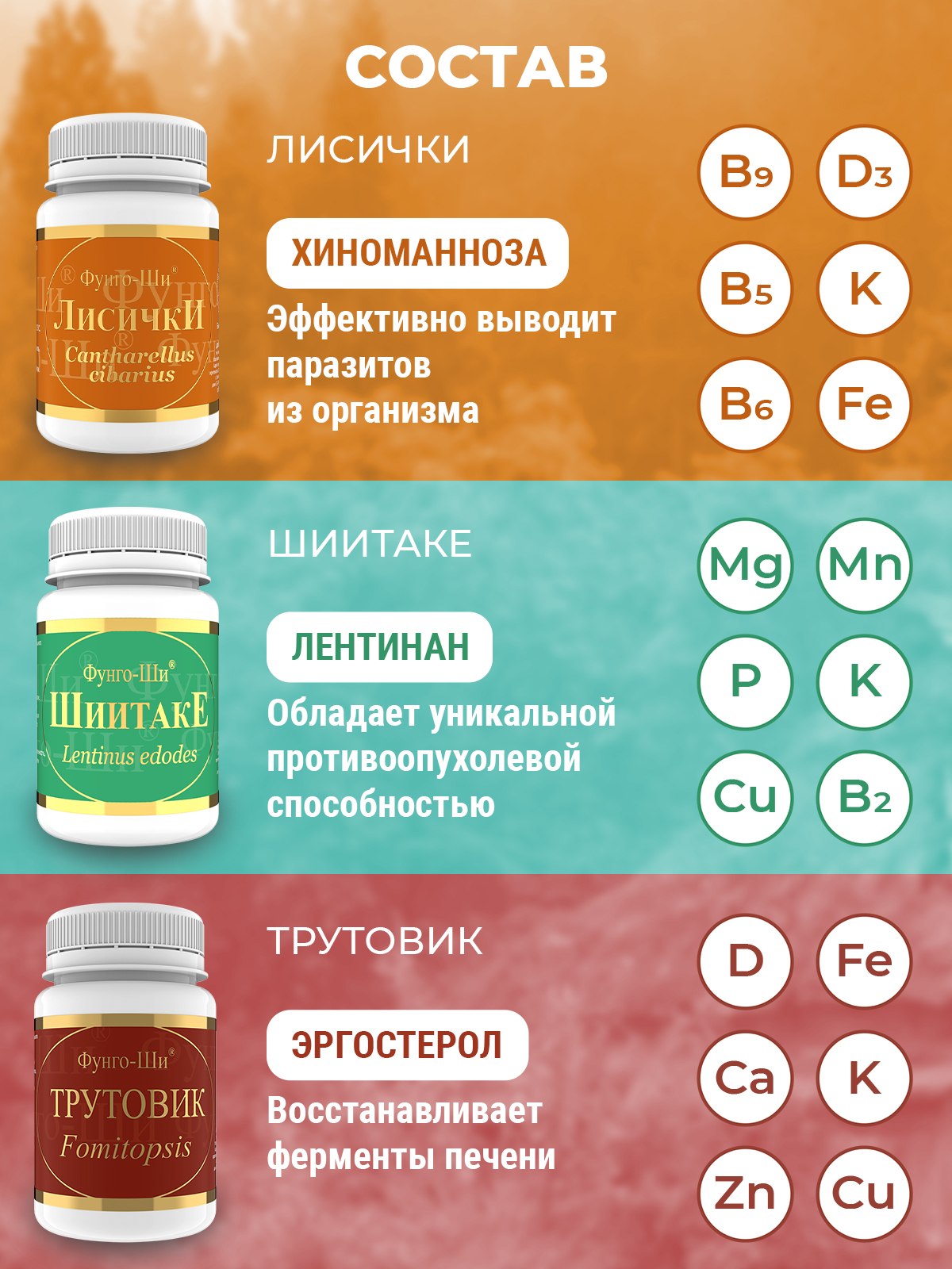 Купить Prodex, Программа «Акура» для очищения печени, избавления от  паразитов, токсинов и ядов, капсулы, 3*60 шт. по цене 2390 ₽ в  интернет-магазине iTAB | наличие, стоимость, доставка, отзывы, заказ на  сайте