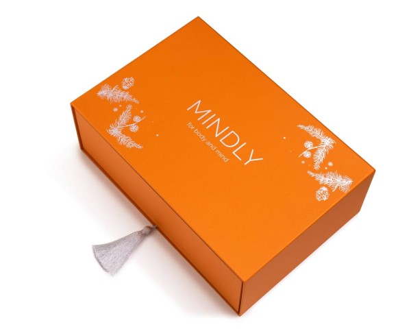 MINDLY, Подарочный новогодний набор: NanoMind + Energy