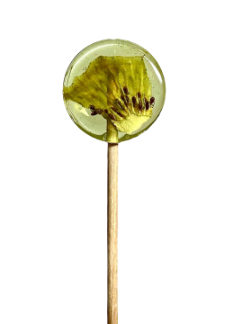 Lollipops, Леденец на палочке из изомальта с сублимированным киви, 1 шт.