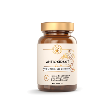 

Apotheka, Antioxidant, капсулы, 60 шт., капсулы, 60 шт.