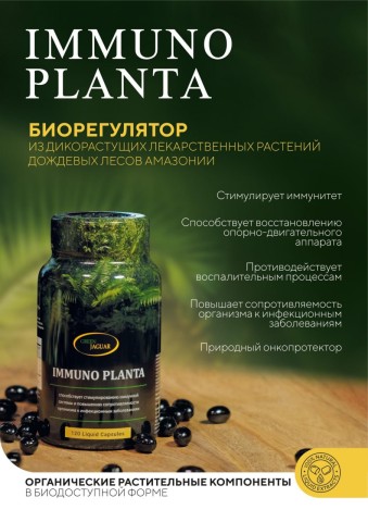 Green Jaguar, Иммуно Планта (растительный комплекс противовоспалительного и антибактериального действия), капсулы, 120 шт.