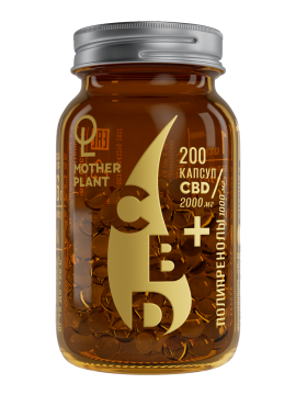 

MotherPlant, Масло CBD с полипренолами, капсулы, 200 шт., капсулы, 200 шт.